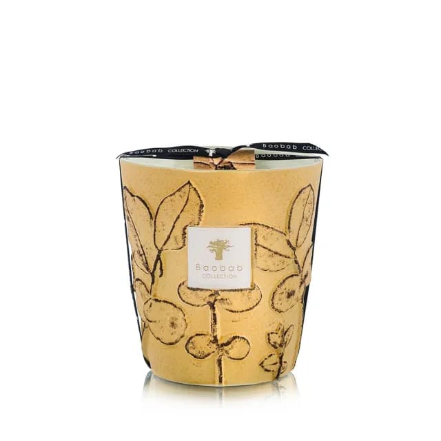 【Baobab Collection】香氛蠟燭1100g Garrigue/Folia 松葉之森