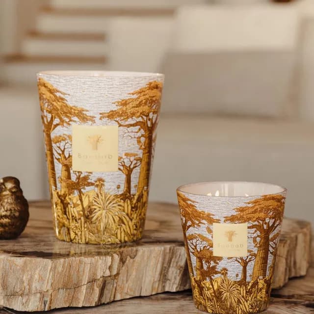 【Baobab Collection】香氛蠟燭1100g Cocody /Sacred Trees Summer 可可森林