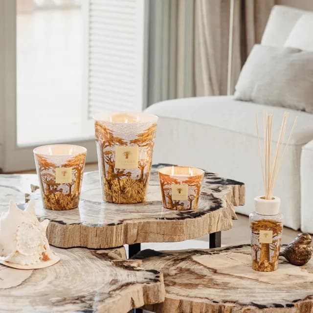 【Baobab Collection】香氛蠟燭500g Cocody /Sacred Trees Summer 可可森林