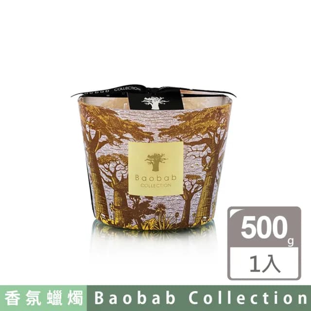 【Baobab Collection】香氛蠟燭500g Cocody /Sacred Trees Summer 可可森林