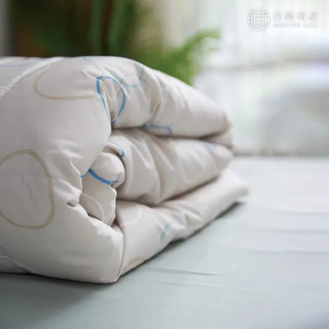 【HEALTH LIFE 合隆羽藏】羽絨の夏眠被(可水洗)