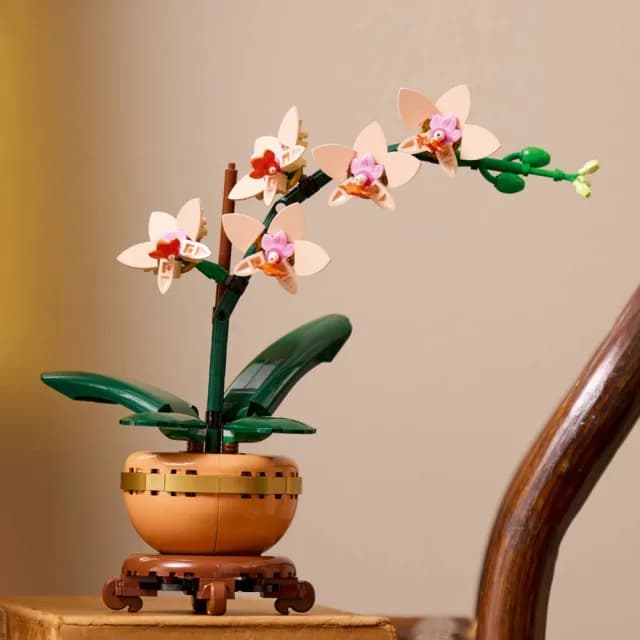 【LEGO 樂高】Botanicals 10343 迷你蘭花(居家擺設 花藝植栽 節慶禮物 玩具模型 母親節)