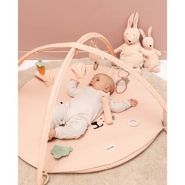 【Trixie 比利時】動物造型感統遊戲墊 多款可選(健力架 彌月禮)