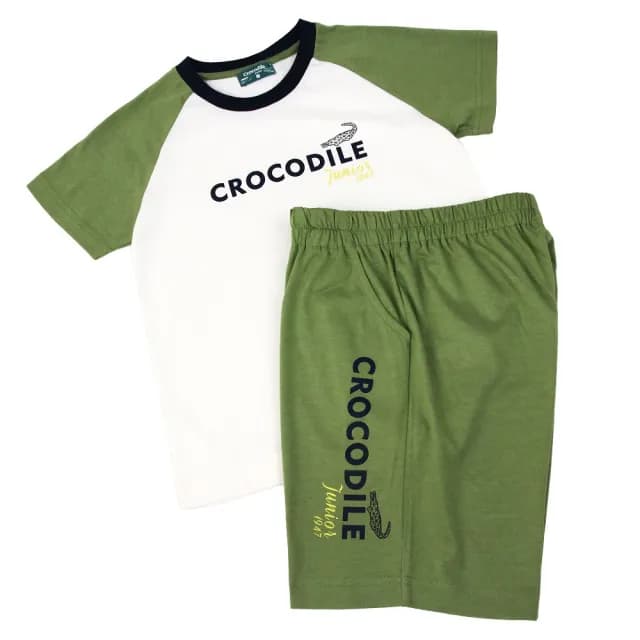 【Crocodile Junior 小鱷魚童裝】『小鱷魚童裝』品牌LOGO印圖拉克蘭袖T恤(產品編號 : C67499-04 小童款)
