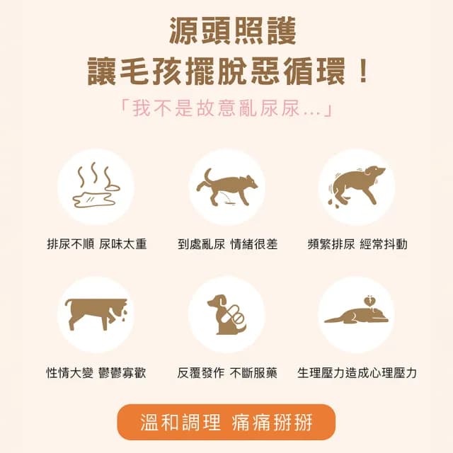 【HOMI 毛與家】泌可通 寵物泌尿道保健粉-30包x3盒(泌尿健康 排尿順暢 膀胱炎 狗保健品 貓保養品 犬貓適用)