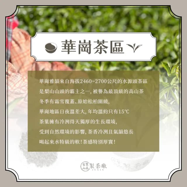【梨山聚鑫製茶廠】豪韻鳳茶-鳳儀天下半斤禮盒75g×4罐(精美茶葉禮盒/台灣高山烏龍/送禮頂級首選)