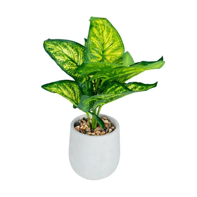 【dayneeds 日需百備】仿真花藝-水泥盆栽系列 波翠林間 2款可選(塑膠花/免澆水/室內植物/懶人盆栽)