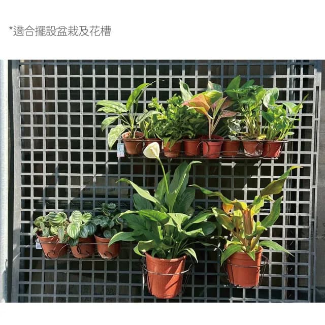 【Gardeners】鐵製植物掛勾長花架-2尺(窗台花架、吊掛植物、植物花架、盆栽容器、植物收納)
