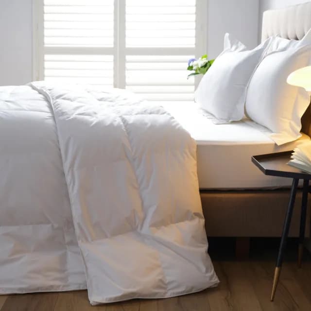 【WEDGWOOD】80%雅品白鴨絨 抗菌羽絨舒眠被(加大 240x210cm)