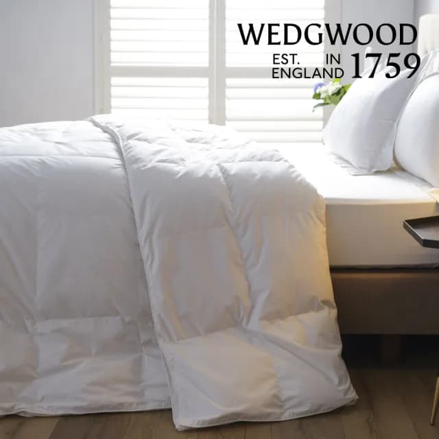 【WEDGWOOD】80%雅品白鴨絨 抗菌羽絨舒眠被(加大 240x210cm)