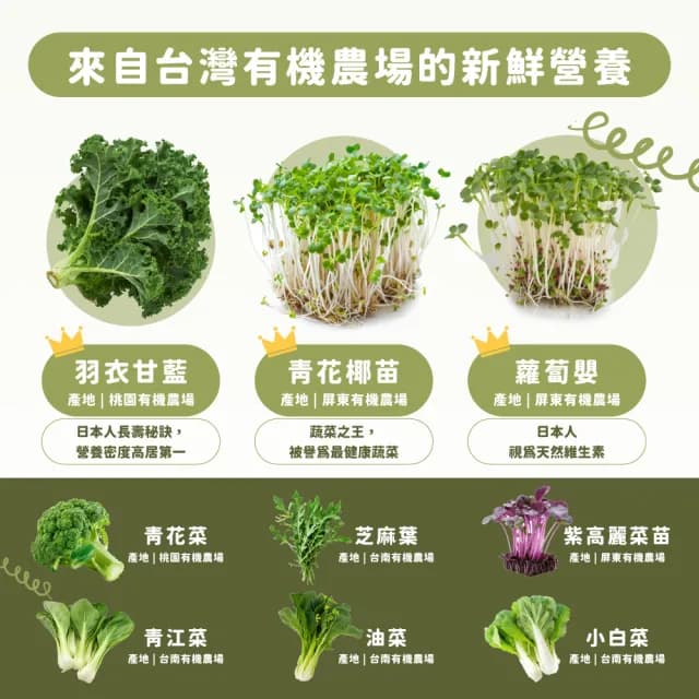 【Dr. Ginger 薑博士】超青汁30日養成禮盒(附提袋/送禮推薦/父親節/教師節/長輩/伴手禮)
