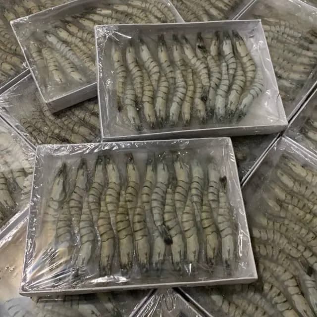 【好神】南洋急凍草蝦60尾組(20尾/盒/中秋烤肉/火鍋/燒烤)