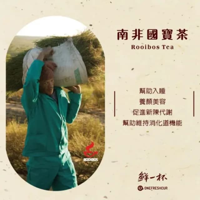 【鮮一杯】南非國寶茶茶包(2.5gx50入x4盒)