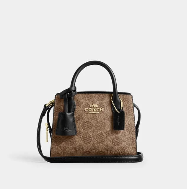 【COACH】蔻馳官方直營 ANDREA經典Logo 托特手袋 斜背手袋-多款多色選(CW304)