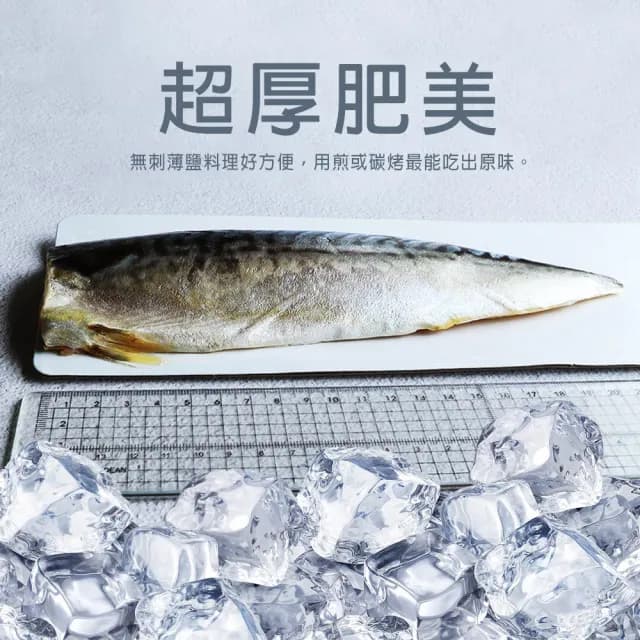 【優鮮配】厚片超大油質豐厚挪威薄鹽鯖魚20片(210g/片 中秋、中秋烤肉、燒烤)