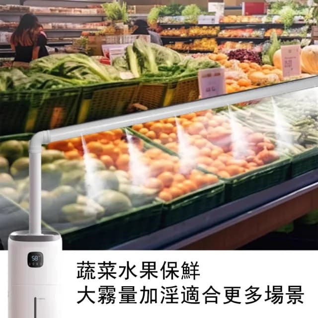 【Loha 樂活家】恆濕/定時/靜音/遙控(12L 加濕器 水氧機 噴霧器 霧化器 空氣淨化加濕器)