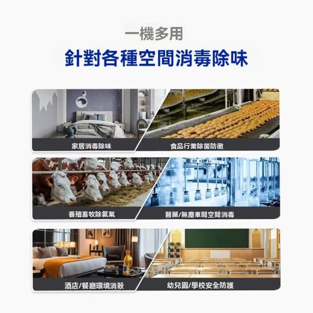 【Felsted 菲仕德】臭氧機 60g臭氧發生器 空氣清淨機(家用除甲醛 空氣淨化 消毒殺菌 除異味 新房空氣淨化)