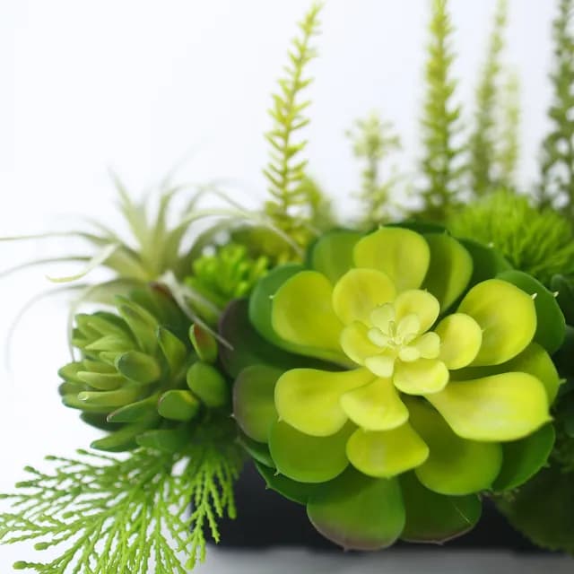 【HUGO DECO 榆果傢飾】多肉植物組合香氛植栽  免運專人配送限雙北市(開幕/擬真花/佈置/新居落成/送禮)
