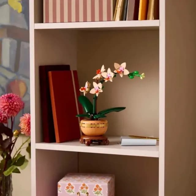 【LEGO 樂高】10343 迷你蘭花(迷你蘭花 居家擺設 花藝植栽 節慶禮物 玩具模型 情人節禮物)