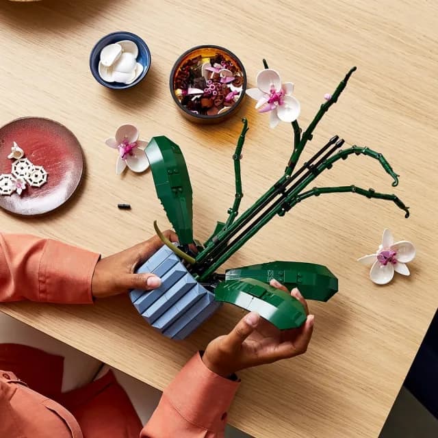 【LEGO 樂高】Botanicals 10311 蘭花(花藝 植栽 居家擺設 DIY 情人節禮物)