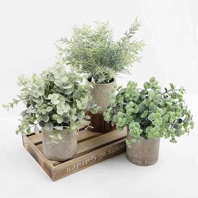 【樂生活 Good Mood】仿真植物小盆栽 居家綠化擺飾 尤加利 芙蓉菊 小玉樹(仿真植物 環境綠化)