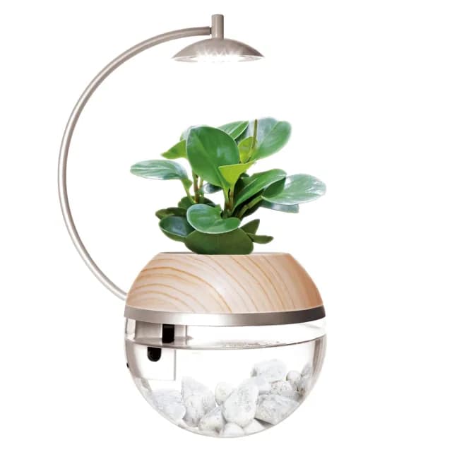 【ARKY】Herb City Pro 香草城市 進階版 馬達澆水x植物燈盆栽組(不含植物 雙飾圈組合 福利品)