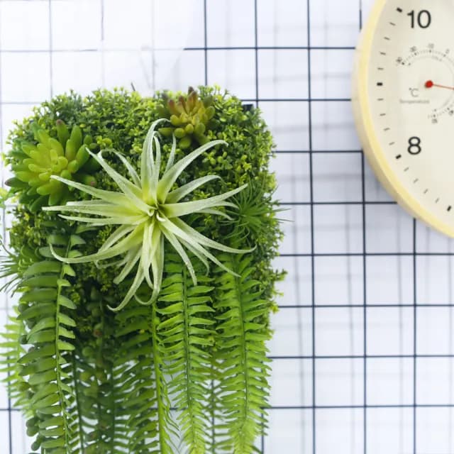 【HUGO DECO 榆果傢飾】空氣鳳梨蕨葉植生框(擬真植栽/擬真植物/電箱佈置/居家佈置/壁面裝飾)