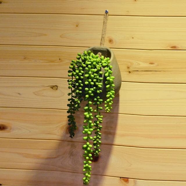 【YU Living 信歐傢居】仿真垂掛式多肉植物裝飾盆栽(綠色/人造盆栽 園藝花卉 室內裝飾)