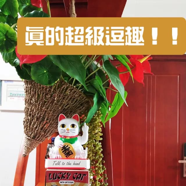 【奧客滾開！搞笑 逗趣】中指招財貓(開店必備 公司行號 招客  送禮 開幕 招好運 財源滾滾)