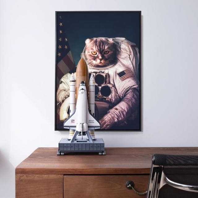 【菠蘿選畫所】Space Cat-50x70cm(客廳 掛畫/療癒/小貓/文創/交換禮物/客廳 掛畫/房間佈置)