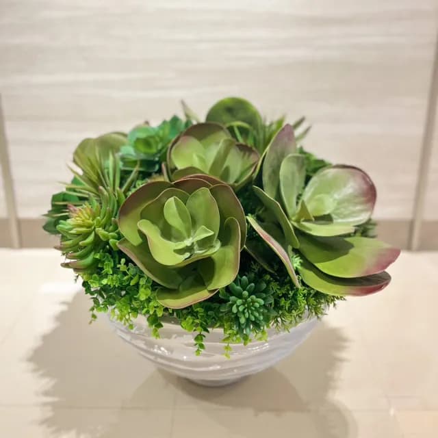 【HUGO DECO 榆果傢飾】特級擬真唐印多肉植栽組合 免運專人配送限雙北市(人造植栽/仿真植物/綠化/佈置)