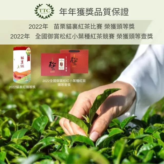 【台灣農林】官方直營 台茶風華 碧螺春綠茶x2盒(天然製材立體茶包2.5gx20入/盒)