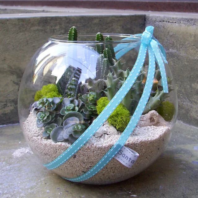 【Santa Ana】10吋玻璃球多肉植物盆栽組合(三種以上不同植栽)