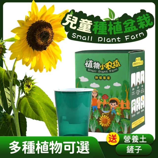 【百獅】大號 種植小盆栽 兒童植物 兒童盆栽(DIY負離子綠植 小盆栽 種植盆栽 幼稚園 國小種植功課)
