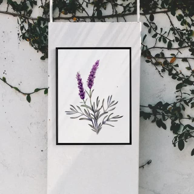 【菠蘿選畫所】紫色浪漫薰衣草-30x40cm(畫/花草植物/盆栽/臥室掛畫/家居佈置/手繪裝飾)