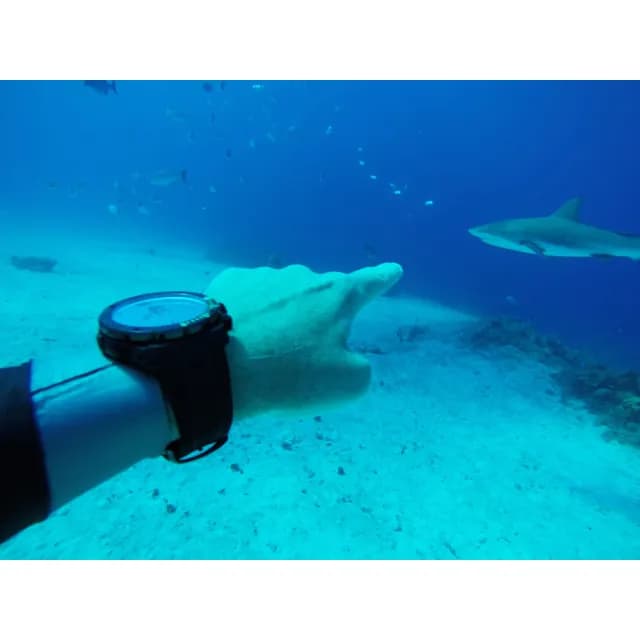 【EDOX 伊度】Sharkman I Limited Edition 潛水三眼計時手錶-46mm 送禮 禮物 推薦(E10221.357BU.BUV)