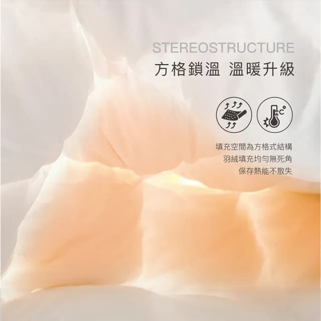 【ISHUR 伊舒爾】90/10極致典藏羽絨被 100%精梳棉表布 台灣製造 雙人2.5kg(贈防潮棉被袋/冬被/棉被/被子)