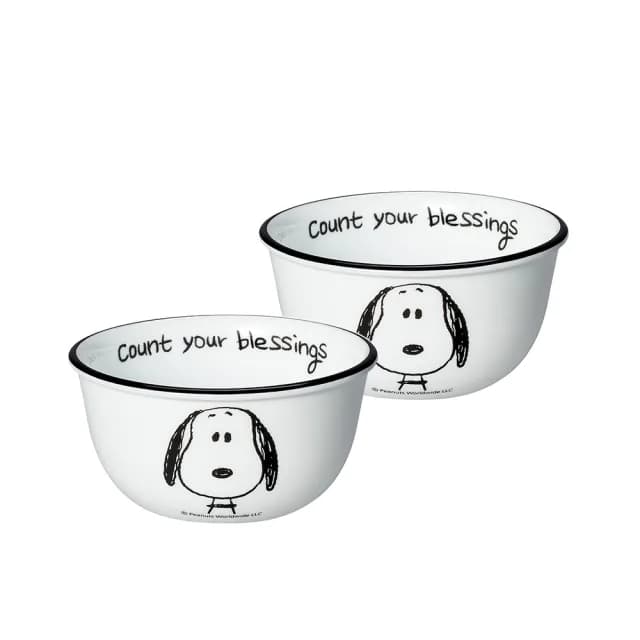 【CorelleBrands 康寧餐具】SNOOPY 經典語錄2件式餐碗組(B01)