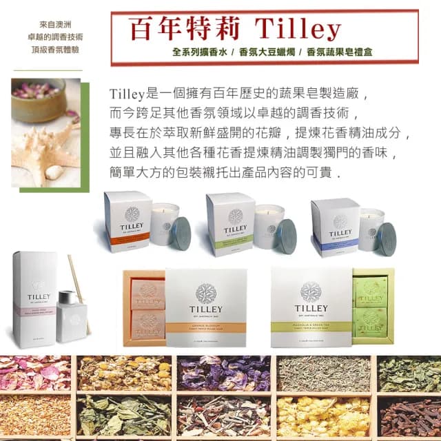 【Tilley 百年特莉】薰衣草香氛大豆蠟燭240g(促銷中)
