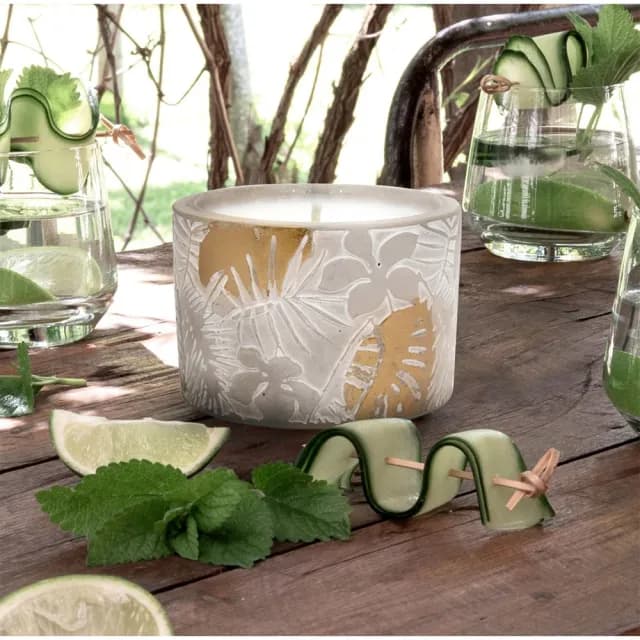 【Aromatherapy Co】Therapy Garden系列 Citronella & Zesty Lime 香茅青檸 300g 香氛蠟燭