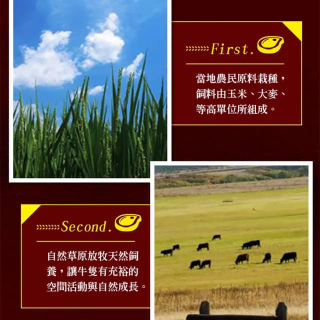【享吃肉肉】任選999免運 美國藍帶特選嫩肩牛肉片1包(250g±10%/包 中秋烤肉/燒烤) - momo購物網 - 好評推薦 -