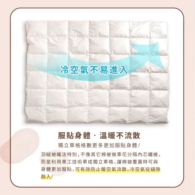 【田中保暖】雙人6x7尺 星級飯店專用 100%水鳥羽絨被 羽絨被 冬被 台灣製