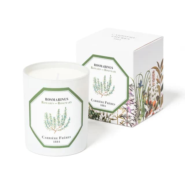 【Carriere Freres】迷迭香 185g 天然手工香氛蠟燭(Rosemary)