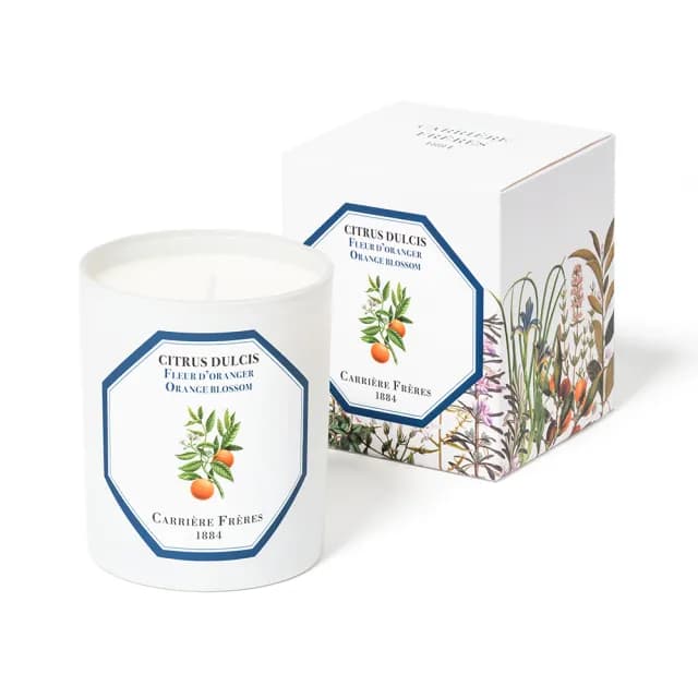 【Carriere Freres】橙花 185g 天然手工香氛蠟燭(Orange Blossom)