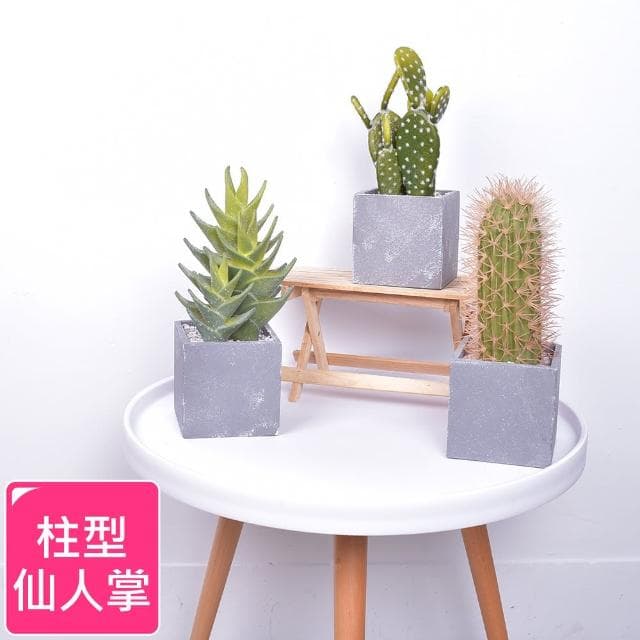 【Meric Garden】北歐風創意仿真多肉綠植物水泥中盆栽(柱型仙人掌)