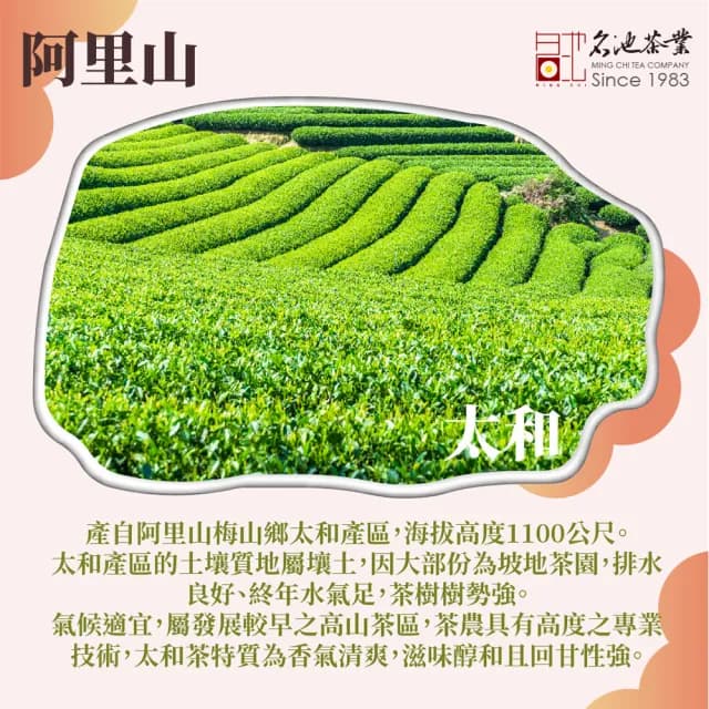 【名池茶業】阿里山金萱手採高山茶葉150gx2盒(共0.5斤)