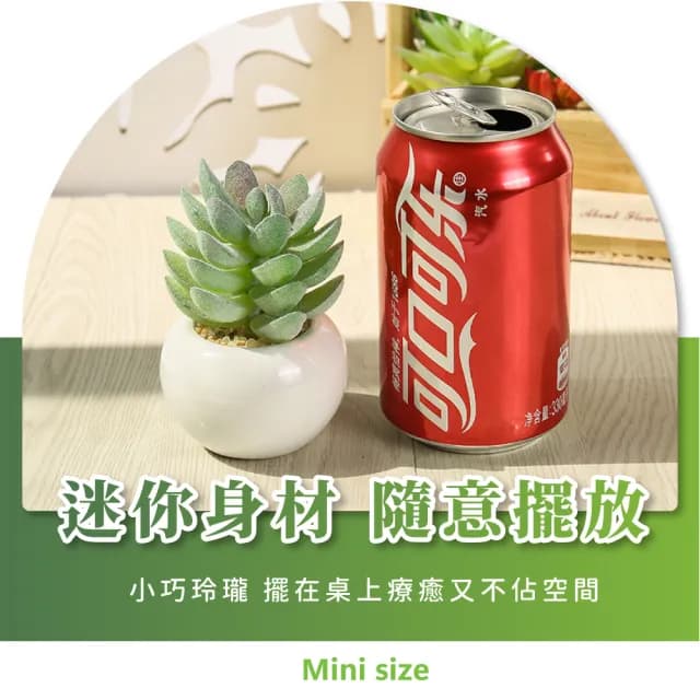【點綴生活】北歐仙人掌小圓盆栽(多肉植物 仿真人造花 乾燥花 假花盆 室內 居家擺飾 辦公室 桌面裝飾品)