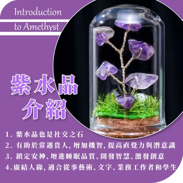 【水晶運勢】紫水晶樹擺飾-附玻璃罩(富貴 開運 智慧水晶 能量水晶 招財 學生 誕生石 辦公室 玄關擺件 禮物)