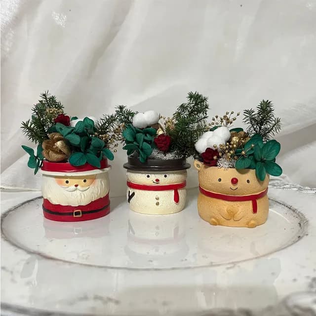 【OSTARA FLORIST 奧斯塔拉花藝】聖誕小盆花/附透明盒(永生花、聖誕節、交換禮物、盆花)