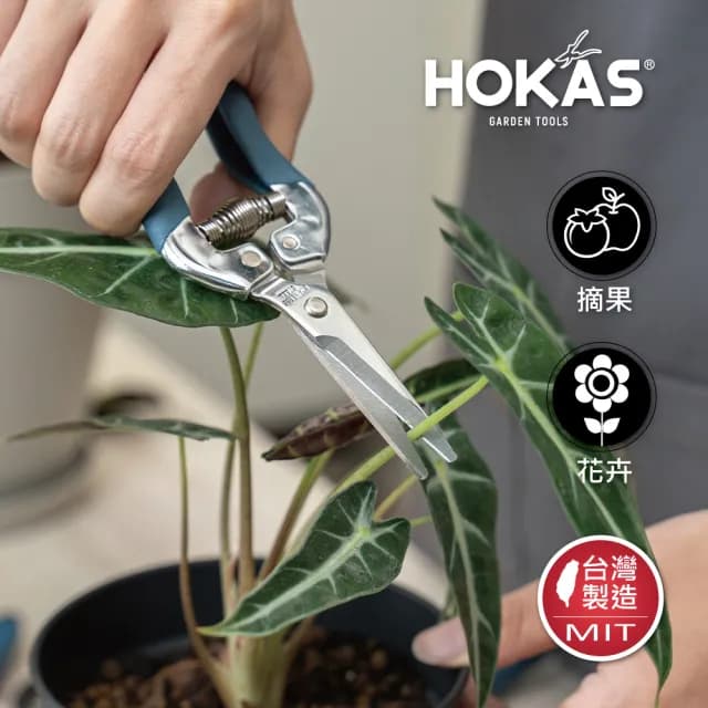 【HOKAS】長刃芽切剪(台灣製 適用觀葉植物 園藝盆栽 摘果 切花 S520-1)